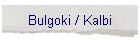 Bulgoki / Kalbi