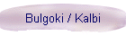 Bulgoki / Kalbi