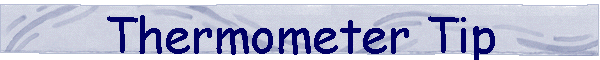 Thermometer Tip