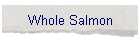 Whole Salmon